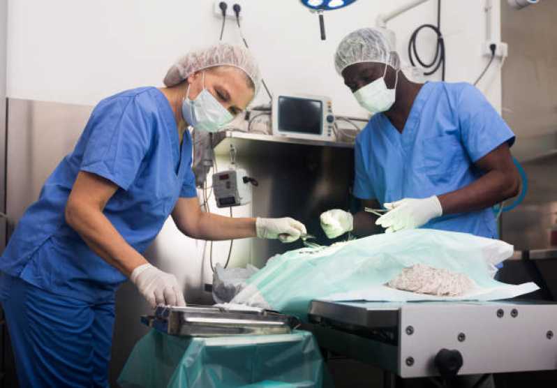 Onde Fazer Cirurgia Ortopédica para Cachorro Imbuí - Cirurgia em Animais de Grande Porte