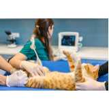 clínica especialista em exames laboratoriais veterinários Cabula