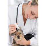 clínico geral veterinário marcar Barreiras