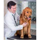 exame laboratoriais veterinário Retiro