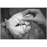 oftalmologia veterinária marcar Colinas de Periperi