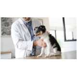 patologia clínica veterinária clínicas Calmon