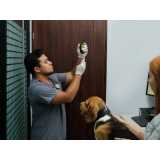 remédio para diarreia em cachorro Boca do Rio