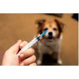 vacina de raiva para cachorro Engomadeira F